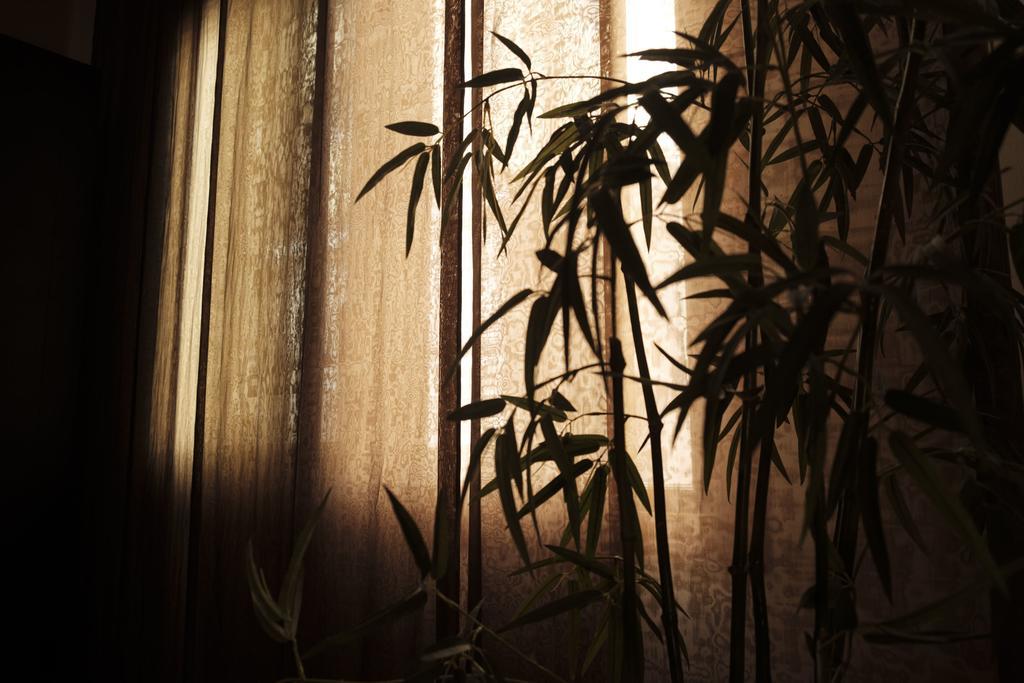 Deluxe Double Room,446847036:JPEG